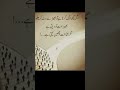 Urdu quotes shorts shortviral urduquotes trending youtubeshorts