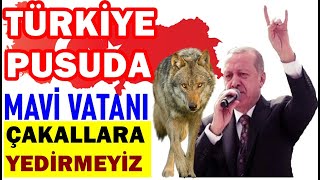 Başımızı Veririz, Mavi Vatanı Vermeyiz... Doğu Akdeniz’de Çakal Sürüsüne Yer Yok...