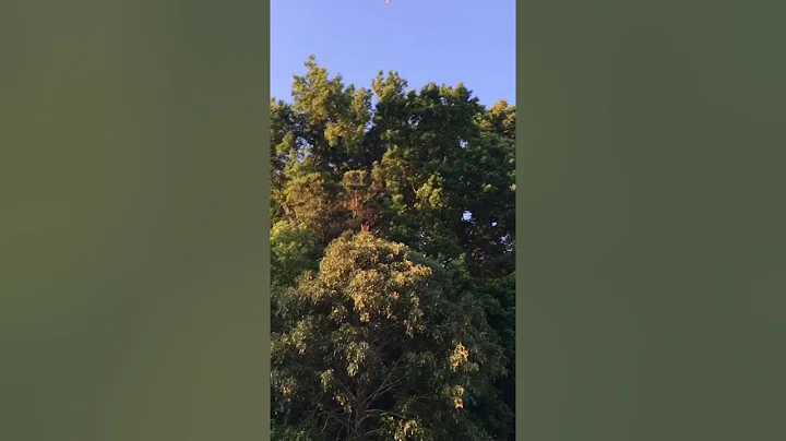 Terry Swaim drone fishing.