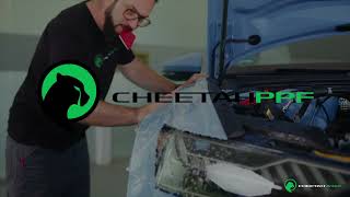 CheetahPPF Chip Defense the NEW Film for Maximum Paint Protection Now Available at Fellers!