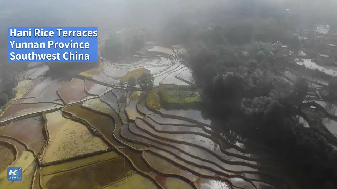 Aerial view of Hani Rice Terraces in SW China's Yunnan