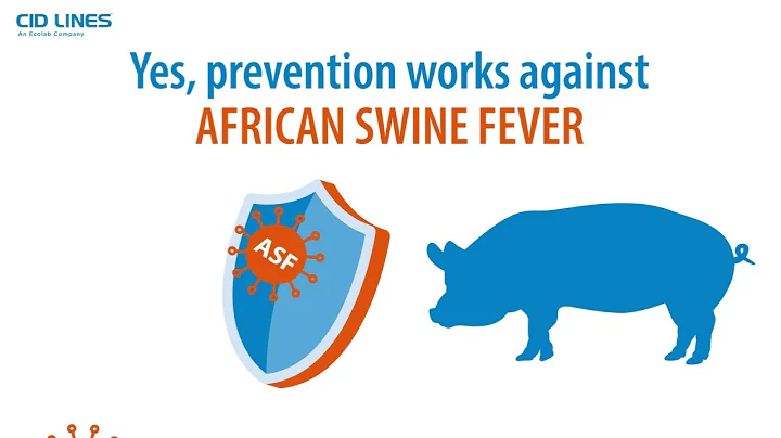 African Swine Fever - Everything you need to know