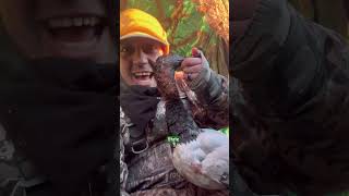 Rare Drake Canvasback Duck