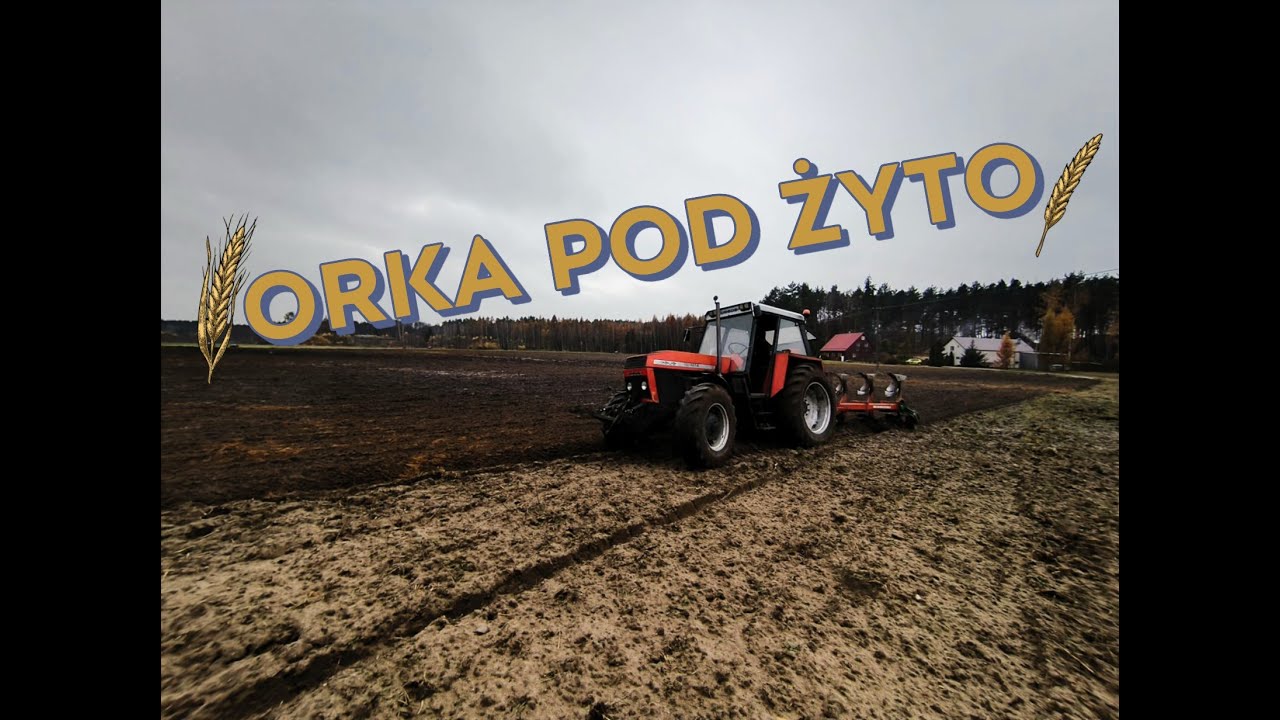 Orka pod żyto🔥🚜|4K🎥| URSUS1614,KVERNELAND