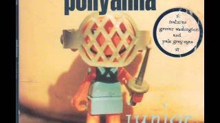 Video thumbnail of "Pollyanna - Pale Grey Eyes"