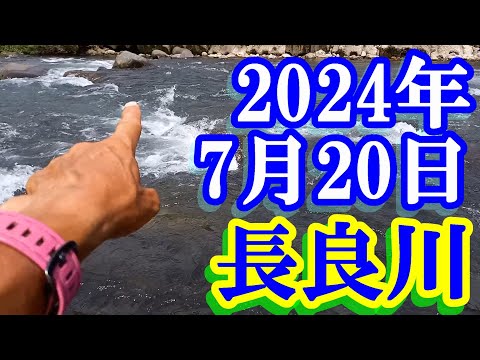 5本継 郡上竿 約6.65m/作者不明/渓流 アユ掛け 鮎 あゆ 釣り 長良川 鮎釣り 15cm高引水 歩岐島橋上下 長良川郡上 2024年 - YouTube
