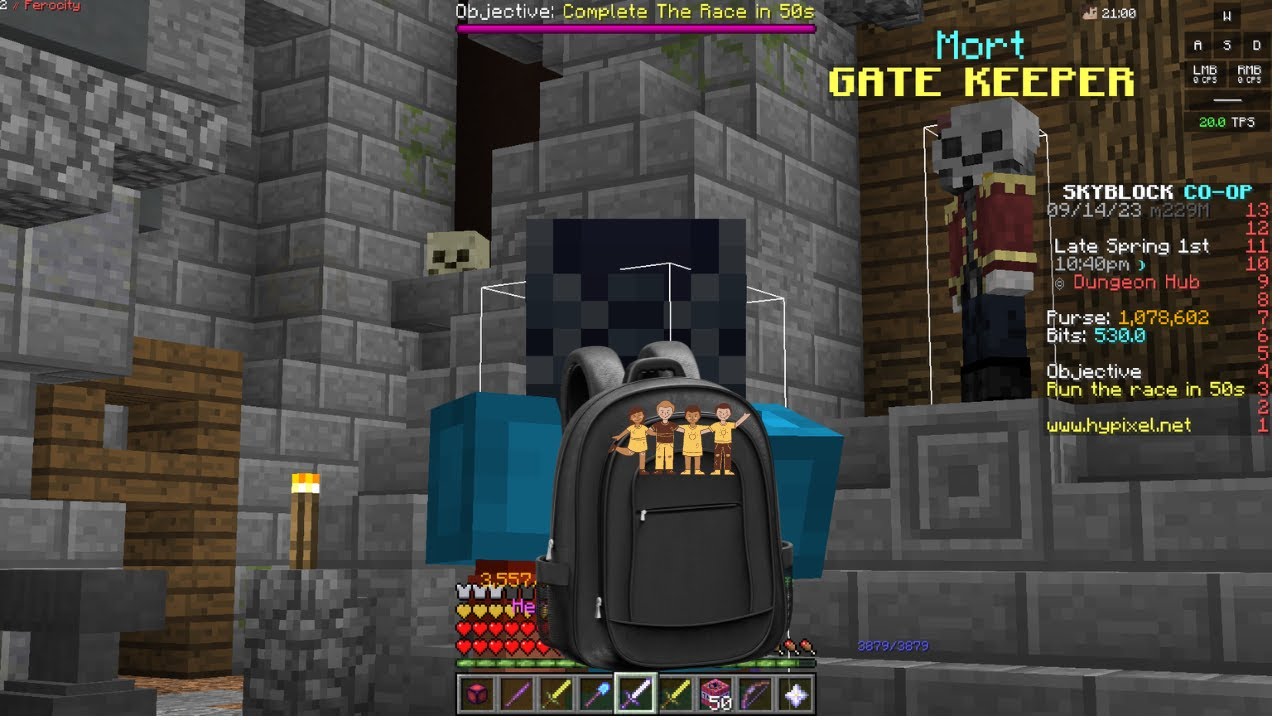 Free Dungeon Carries| Hypixel Skyblock