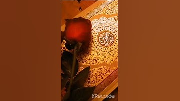 قَالَ هَذَا صِرَاطٌ عَلَيَّ مُسْتَقِيمْ | القارئ هزاع البلوشي