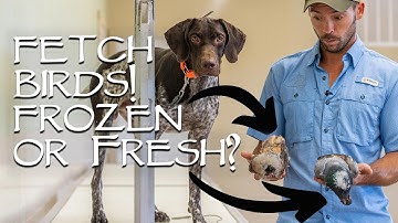 Trained Retrieve Step 12 - Fetch Birds