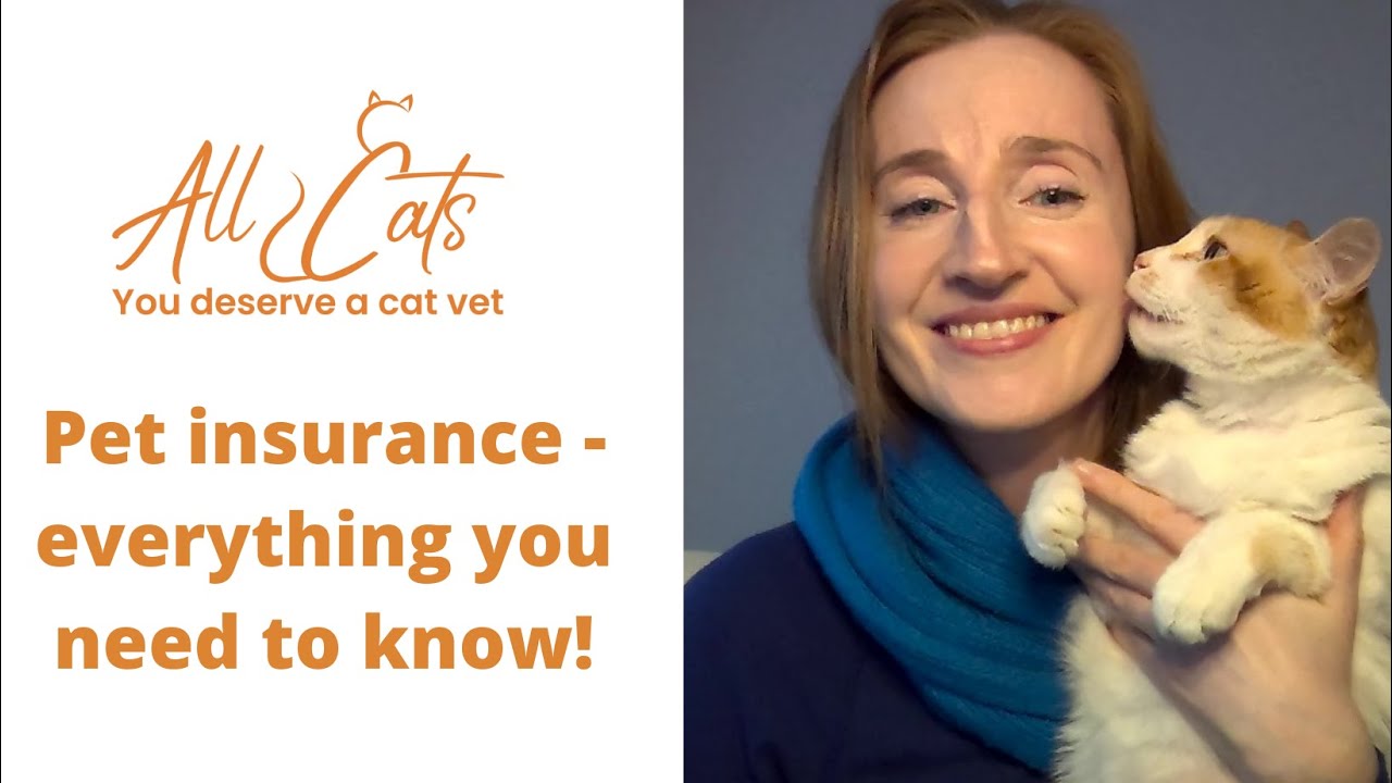 Pet insurance - everything you need to know!