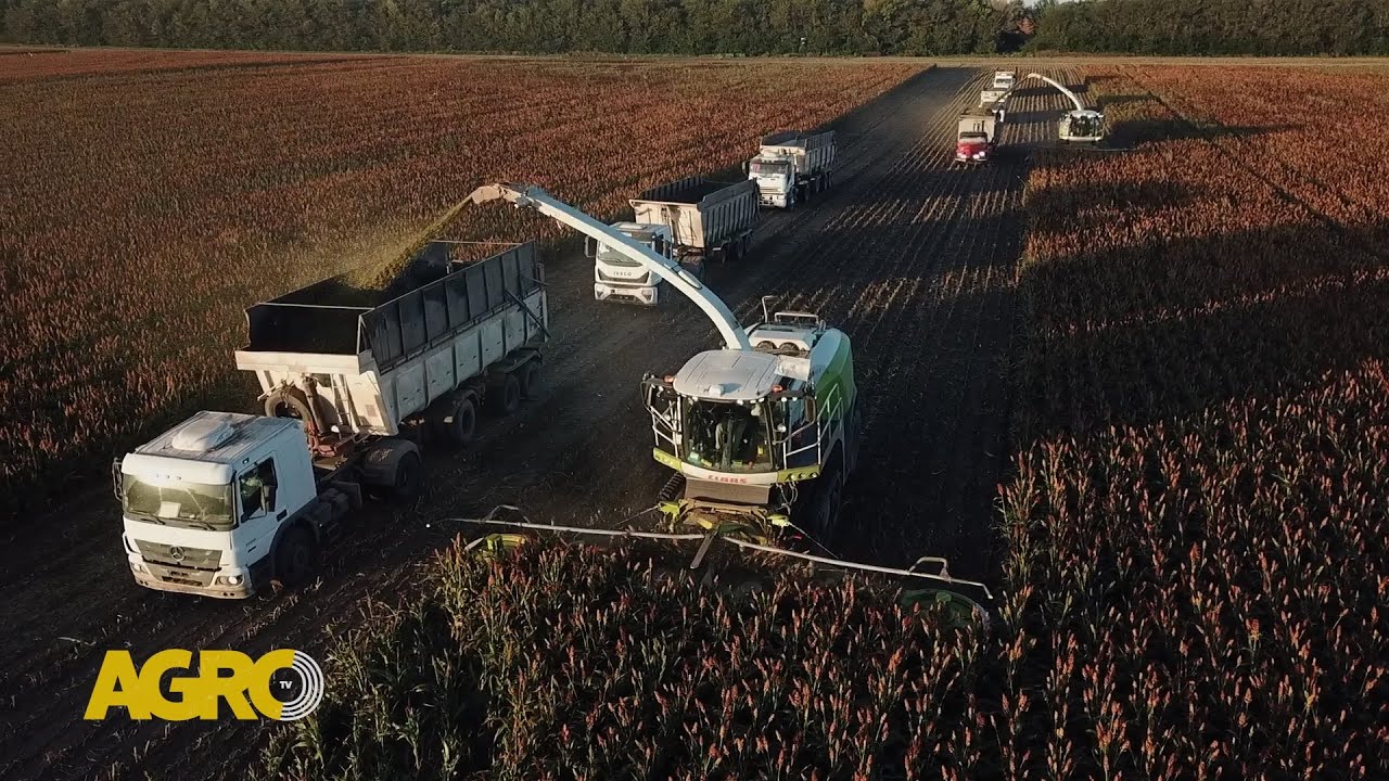 Familia Plem: Líderes en picado con 45.000 hectáreas por campaña (#1131 2025-04-12)