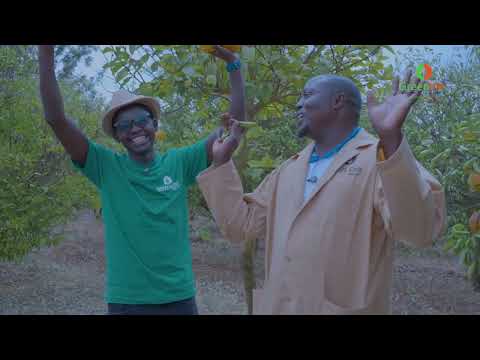 Mca Tricky - Utamu wa Machungwa ni Kulamba Juice yake (Agricasher Ep 02)