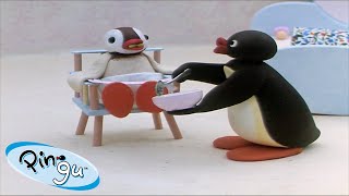 Pingu Becomes A Babysitter Pingu - Official Channel Cartoons For Kids