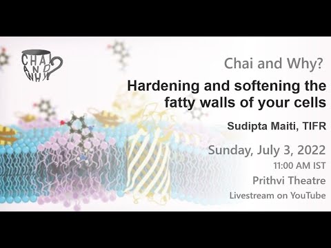 Hardening and softening the fatty walls of your cells