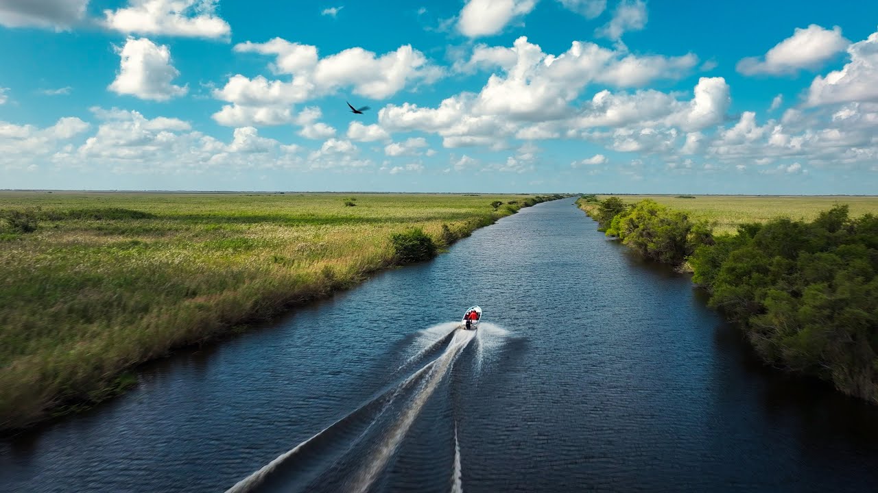 Mexico Fly Fishing: Tarpon, Snook, and Tenguayaca