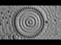量子物理学をひっくり返した、あり得ないはずの一枚