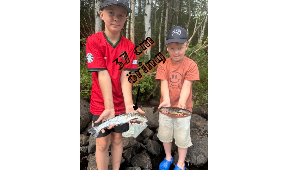 Fiske i Härjedalen med Arvid, Micke, Farsan och Wilhelm del 2