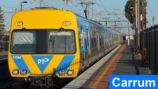 Trains at Carrum; the final days of the old station - Metro Trains Melbourne