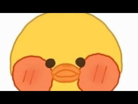 casa de mi patito