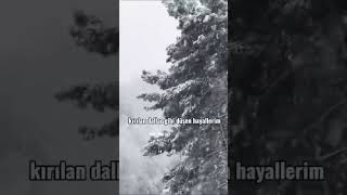 #siir #sevgi #şair #şiir