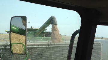 9660 and 9650 unloading wheat in the semi