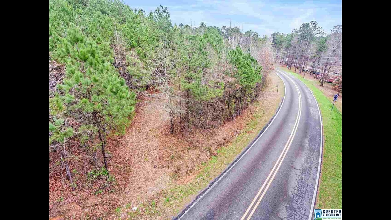 Homes for sale - CO RD 306 N/A, CALERA, AL 35040