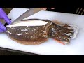 Cutting Live Cuttlefish at  Donggang Seafood Market 東港活花枝- Taiwan