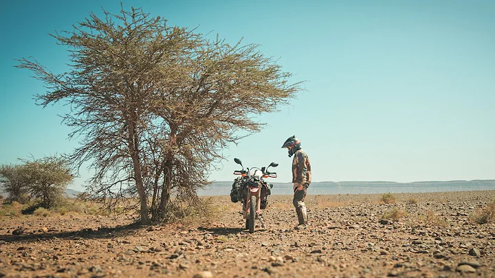 My favorite adventure bike has 25 horse power thumbnail