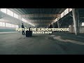 Fury in the slaughterhouse  always now official