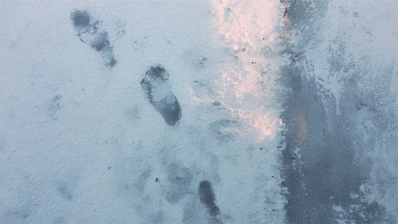 冬から目覚めて