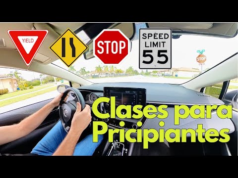 Luces de Tráfico y Señales: Guía para Principiantes/Aprende Conducir