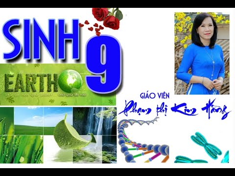 Video Bài 35.ƯU THẾ LAI - SINH HỌC 9 - YouTube