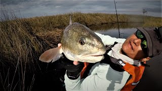 KBF (KSS) Redfish Championship 2020 - Part 1