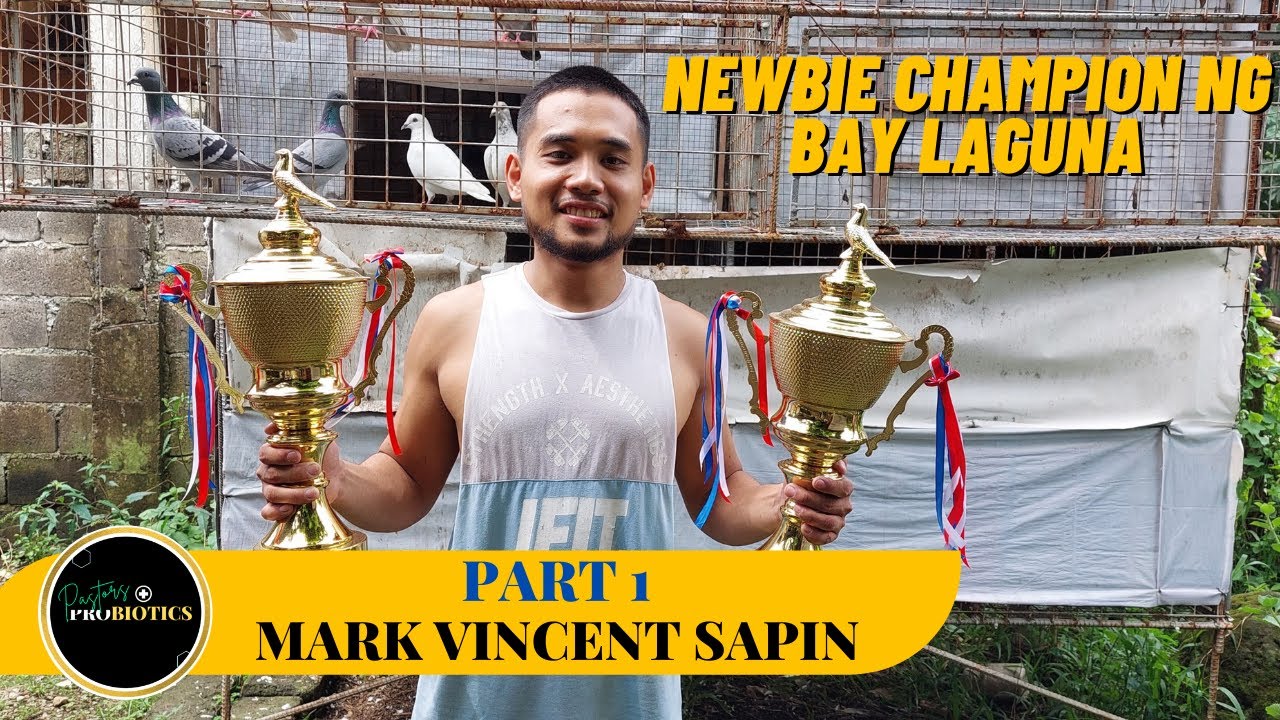 Kalapating umuwi ng gabi, nagchampion!