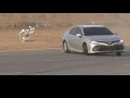 اغاني هجولة خليجية حبيب الروح و شبك عليا زيرو 