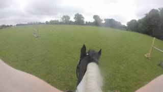 Jumping Zebedee | Go Pro Chest Strap