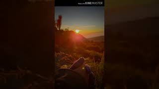 Surat Cinta Ari reda (lirik)