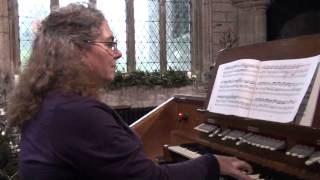 Gabrielle Lewis Playing the Organ of Stoke Climsland PC Cornwall 01/01/14