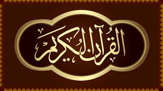 Al Quran ul Kareem Android and iOS Application Promo (IT Department) screenshot 4