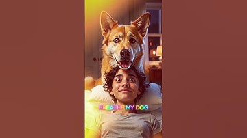 POV : “Dogs Who Have NO Respect for Personal Space 😂” #DogMemes #FunnyDogs #DogOwners #shortsfeed