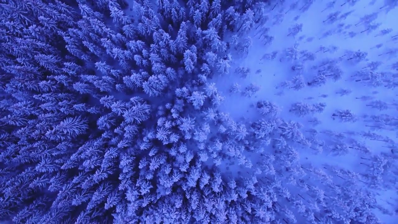 Cinematic Nature Scenes  Beautiful Earth Landscapes in 4K UHD