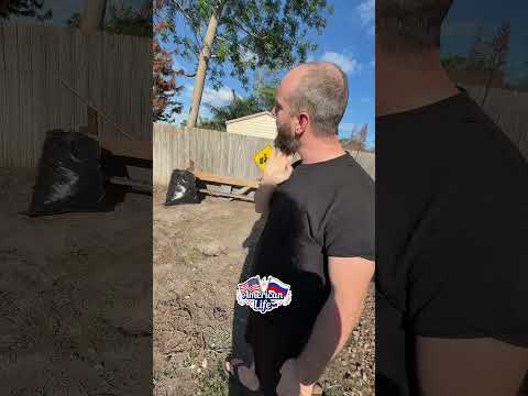 Позвала американского мужа на бэкьярд ? объясняю где будет ягодная зона и как защитить от кур