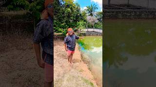 Haih #shorts #funny #イライラしない子育て #viral #comedy #music #subscribe #memes #trending #kids #humor