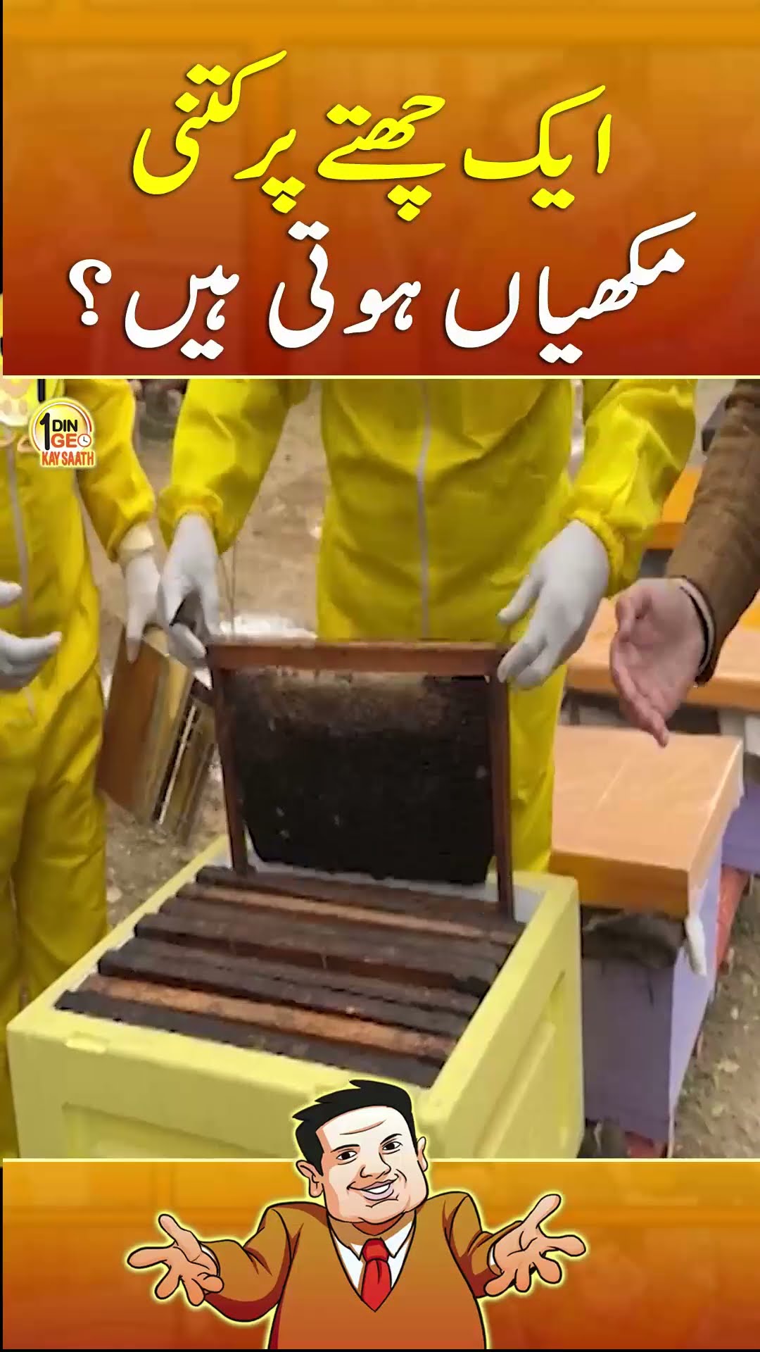 How many bees are in a hive? - #aikdingeokaysaath #suhailwarraich #geonews #shorts