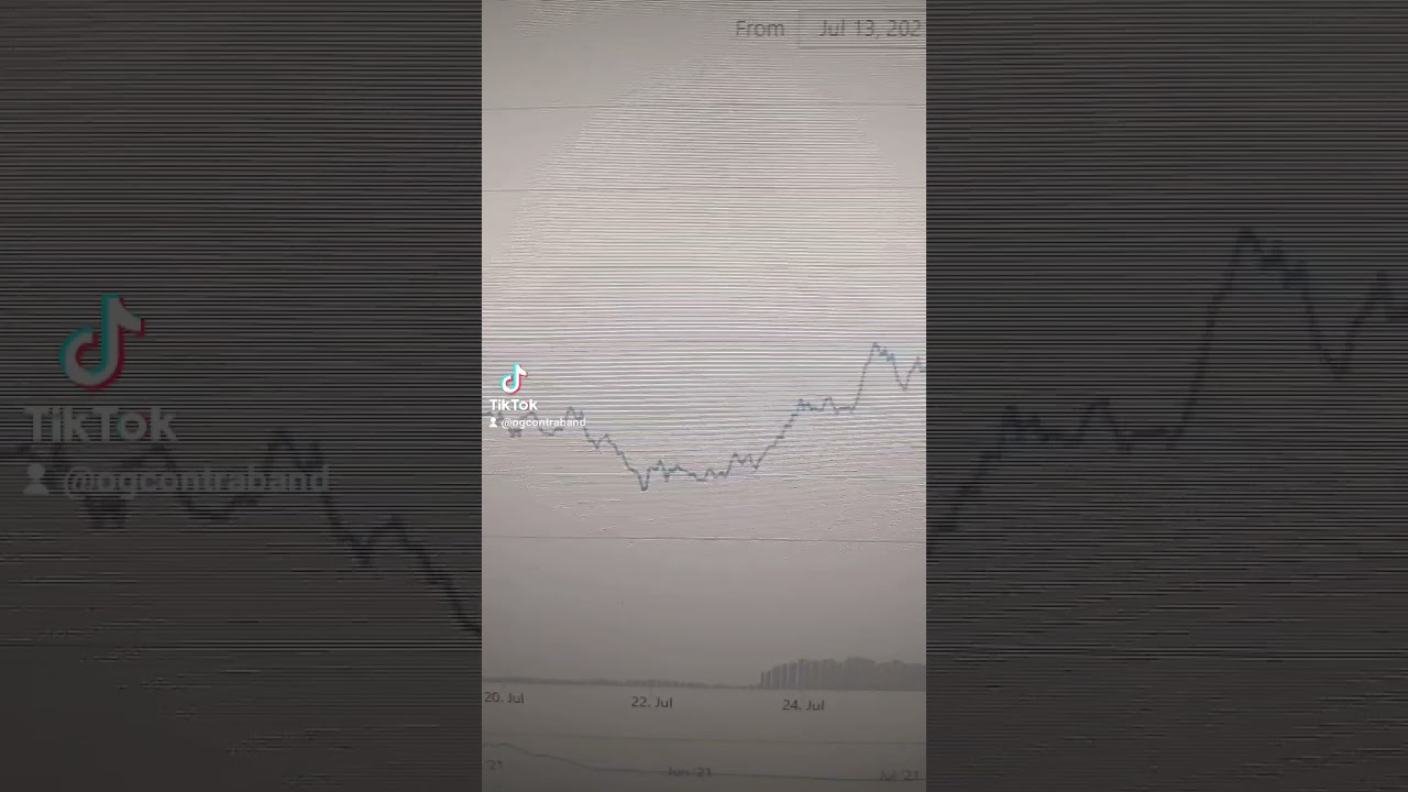 Xmark WARNING Dinoswap Polygon Decentralized Finance Defi Breaking Cryptocurrency News Altcoins