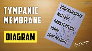 Tympanic Membrane - Diagram, Prussak Space and Cholesteatoma | TCML