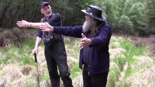 Finding Your Plot