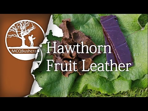 Video: How To Brew Hawthorn Fruit