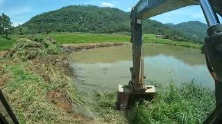 Escavadeira fazendo limpeza de capim de lagoa