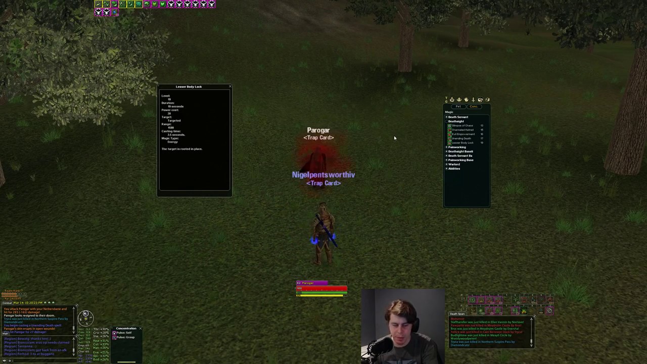 Necromancer (Painworking) Class Overview